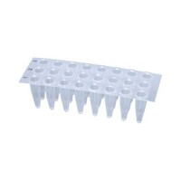 ビーエム PCRプレート 24well シンプレート 0.2ml ナチュラル