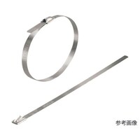 ワイドミュラー ケーブルタイ ステンレスタイプ 1袋(100本入)