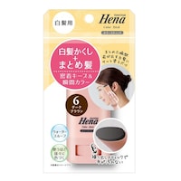 三宝 テンスター 白髪用カラースティック ダークブラウン ※3個以上から注文可能(販売価格は1個単位の価格)