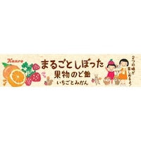 まるごと果物のど飴いちごとみかん 11粒 x10