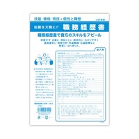 菅公工業 職務経歴書 1セット(10パック入)