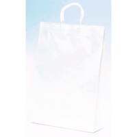パックタケヤマ ST2才 白無地 50枚入×4