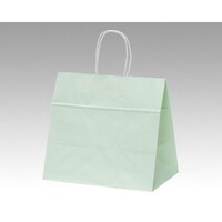 パックタケヤマ ファンシーバッグ M グリーン 50枚入×4