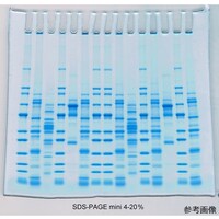 テフコ プレキャストゲル SDSPAGE mini 420% 1mm 12well 1箱(6枚入) 01020K6