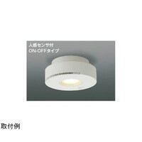 コイズミ照明 LED小型シーリングライト AH54244