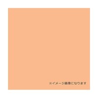 グリーンクロス ウッドラックパネル カラー ベージュ 5mm厚 910×1820 色板 20枚梱包 6300020603