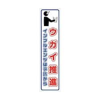 �O���[���N���X�@�}���K�W���̂ڂ�@�f�d�l�X�P�m�@�E�K�C���i�@�U�R�O�O�O�Q�X�O�O�R