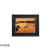 �t�W�J���[�@�ؐ��z���@�x�l�R�@�f�W�^���`�S�@�u���b�N