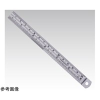 ヴァーテックス ステンレススケール VSR200