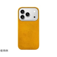 ロア・インターナショナル MARGOTイタリアンレザーMAgSafe対応バックカバー for iPhone 17 Pro タン ABS27814i17PR