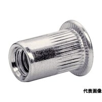 Rapid ブラインドナット M8×1.25(20個入) 5001482