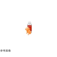 �t�F���f���V�A�L���s�^���@�r�j�t�@�X�g���C�W���O���W���i�X�^���_�[�h�j�T�O�O���@�y�[���I�����W�@�r�j�O�S�e�q