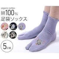 アズワン オーガニックコットンフクロウ柄足袋ソックス 1組(5足入)