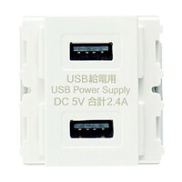 スガツネ工業 (210029211)埋込充電用USBコンセント ※ケース販売 DM2U2P2WT