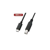 サンワサプライ USB2.0 TypeCBケーブル 2m ブラック KUCB20X5