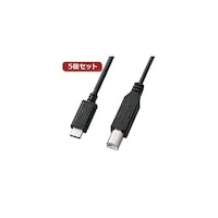 サンワサプライ USB2.0 TypeCBケーブル 1m ブラック KUCB10X5
