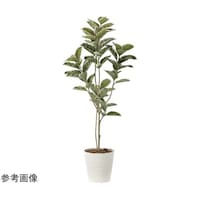 アートクリエイション アルテシマ 1.6 2219A280