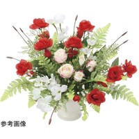 �A�[�g�N���G�C�V�����@�A���N�����[�Y�@�Q�T�S�V�`�X�T
