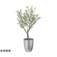 アートクリエイション インテリアオリーブ 1.25 2591A300