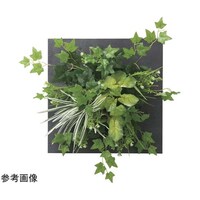 アートクリエイション ウオールタイプアイビー 45 2558A200