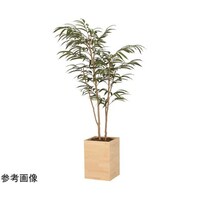 アートクリエイション ウッドボックスショウナンゴム 1.8 2300A580
