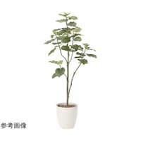 アートクリエイション ウンベラータツリー 1.8 805A430