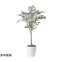 アートクリエイション オリーブツリー 1.35 2433A220