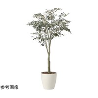 アートクリエイション オリーブツリー 1.85(組立式) 2437A450