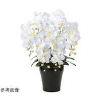 �A�[�g�N���G�C�V�����@�L���O�Ӓ����@�V�{���@�v�@�S�T�P�`�Q�O�O