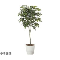 アートクリエイション コーヒーツリー 1.8 2020A580