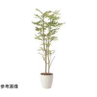 アートクリエイション ゴールデンリーフ 1.6 605P350