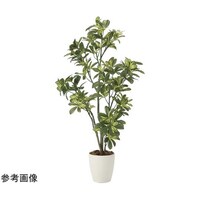 アートクリエイション シェフレラ 1.15 2027A180