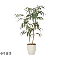 アートクリエイション ショウナンゴム 1.3 2320A260