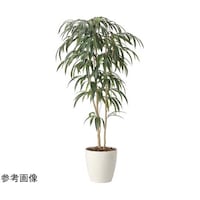 アートクリエイション ショウナンゴム 1.6 2454A400