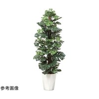 アートクリエイション スプリット 1.35 512A250