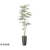 アートクリエイション スリムトネリコ 1.8 2509A400