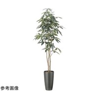 アートクリエイション スリムパキラ 1.8 2508A360
