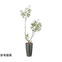 アートクリエイション スリムフィカストアイアングル 1.6 2589A400