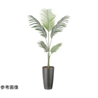 アートクリエイション スリムフレッシュパーム 1.55 2531A250