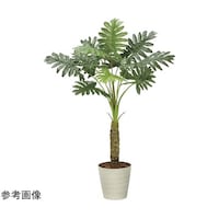 アートクリエイション セローム 1.25 2341A170