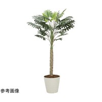 アートクリエイション セローム 1.8 2312A300