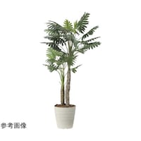 アートクリエイション セロームW 1.8 2441A360