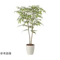 アートクリエイション ソヨゴ 1.0 2418A190