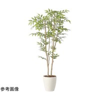 アートクリエイション ソヨゴ 1.3 2419A230