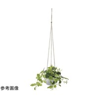 アートクリエイション チャーリーハンギング 2582A50
