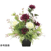 �A�[�g�N���G�C�V�����@�c�[�g�����C���@�Q�T�S�S�`�P�P�O