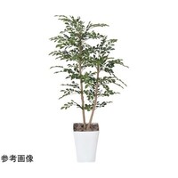 アートクリエイション トネリコ 1.2 184P240