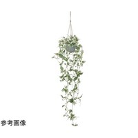 アートクリエイション トラディスカンティアハンギング 2596A80