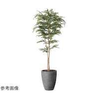アートクリエイション ナチュラルトネリコ 1.8 2407A720