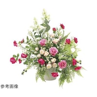 �A�[�g�N���G�C�V�����@�j���[�J���[�i�@�Q�T�R�U�`�Q�T�O